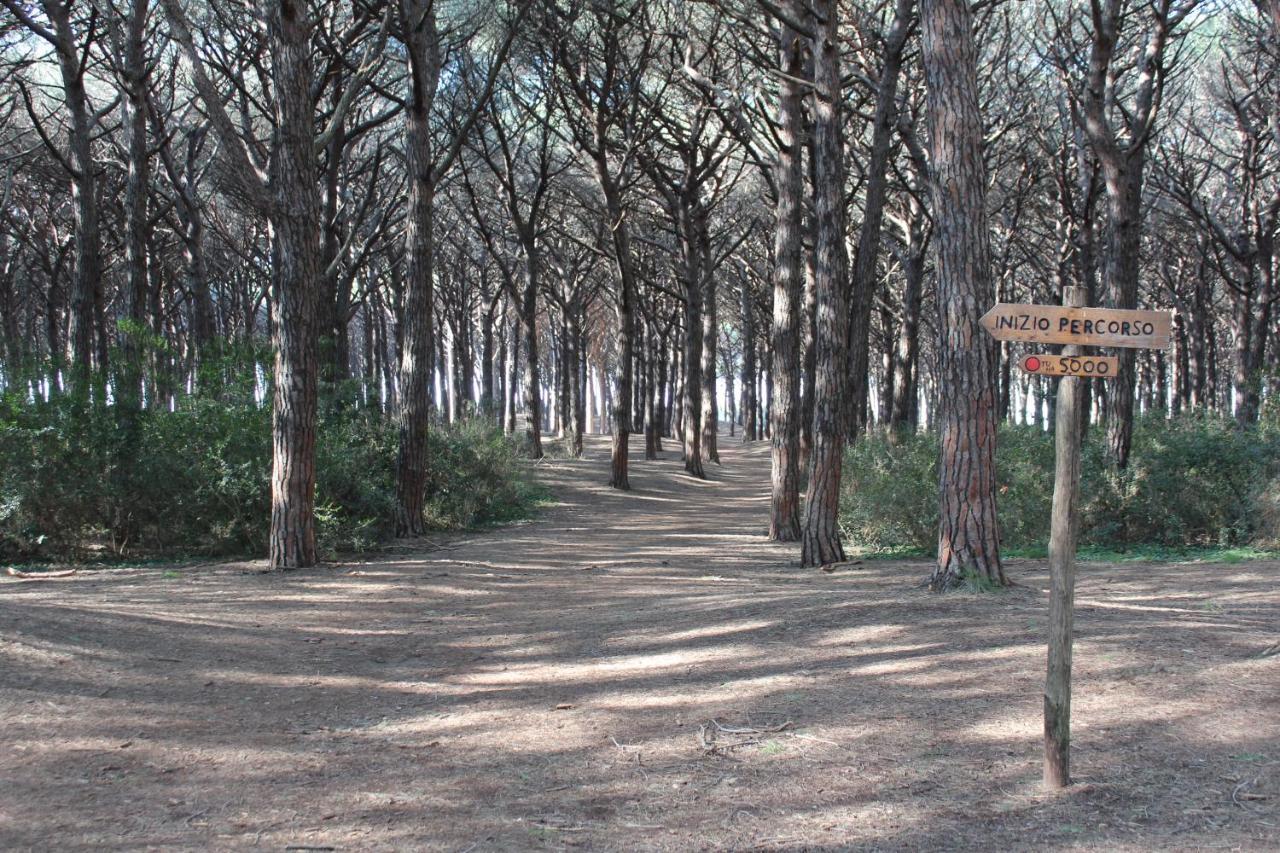 Hotel Massimo Marina di Cecina Εξωτερικό φωτογραφία